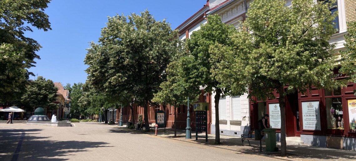 Világóra Apartman Gyula - 4