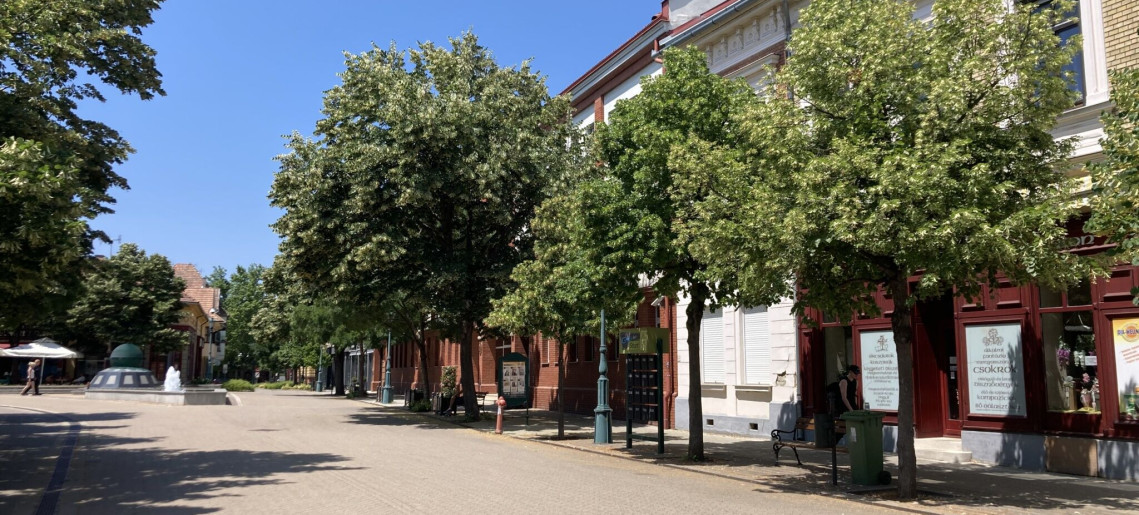 Világóra Apartman Gyula - 4