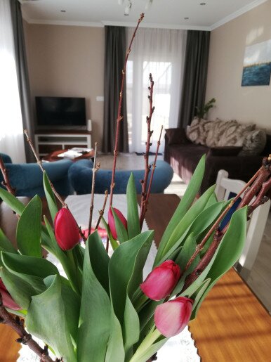 Villa Vintage Apartman Gyula - 5