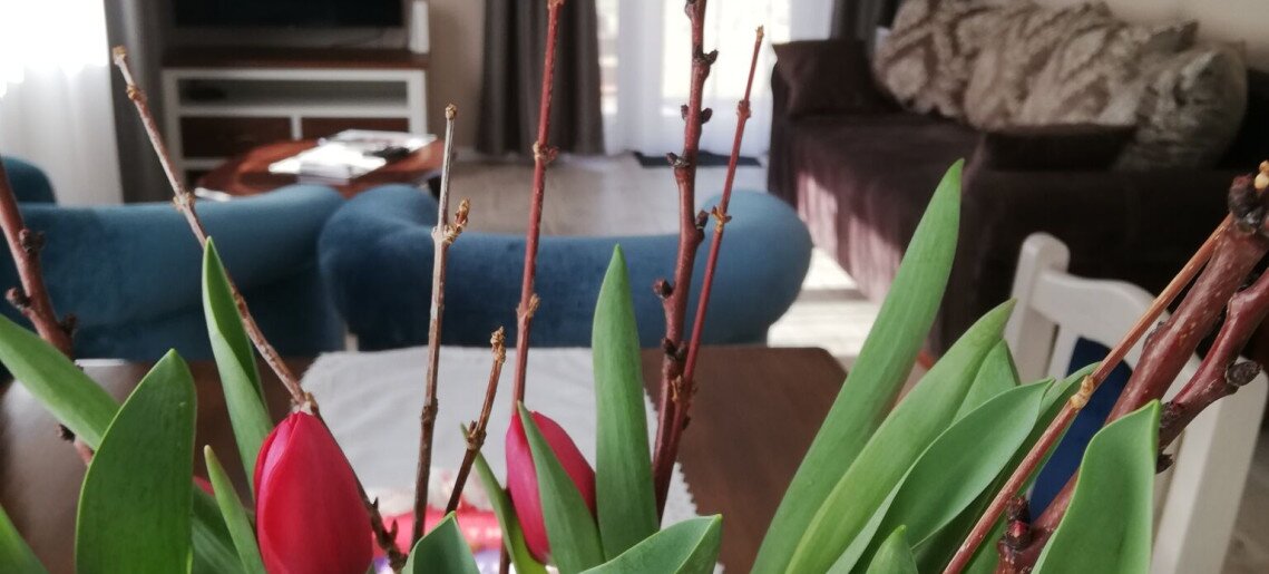 Villa Vintage Apartman Gyula - 5