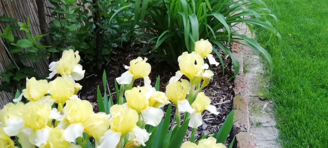 Villa Vintage Apartman Gyula - 40