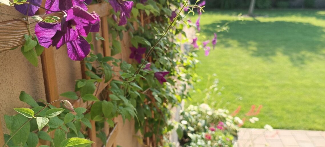 Villa Vintage Apartman Gyula - 43