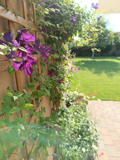 Villa Vintage Apartman Gyula - 43