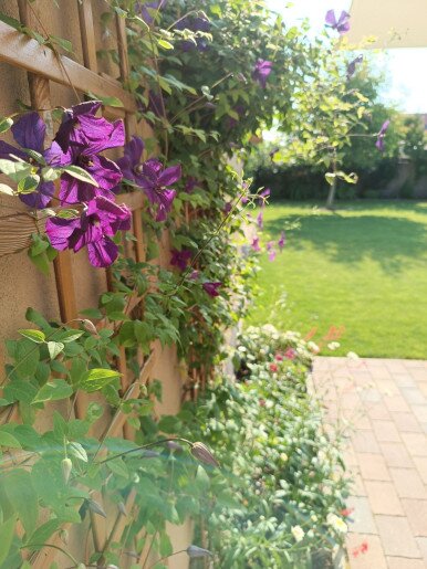 Villa Vintage Apartman Gyula - 43