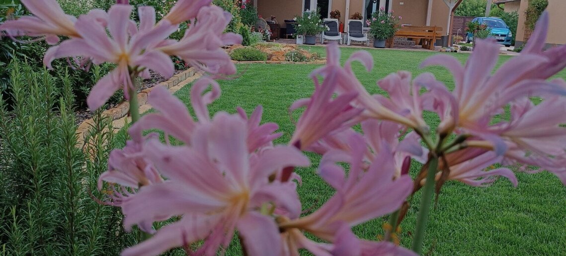 Villa Vintage Apartman Gyula - 44