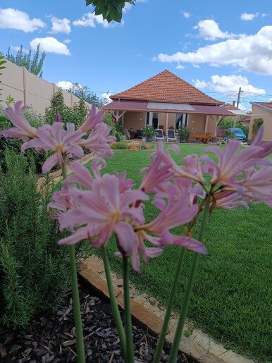 Villa Vintage Apartman Gyula - 44