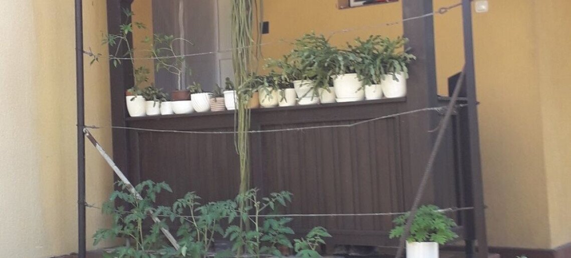 Csendes-lak Gyula - 3