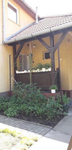 Csendes-lak Gyula - 3