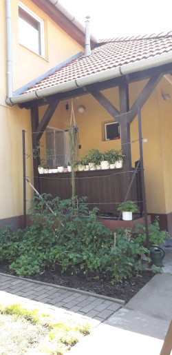 Csendes-lak Gyula - 3