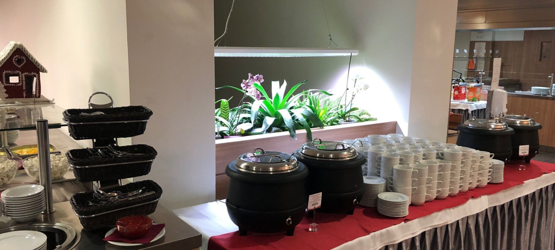 Castellum Panzió Gyula - 8