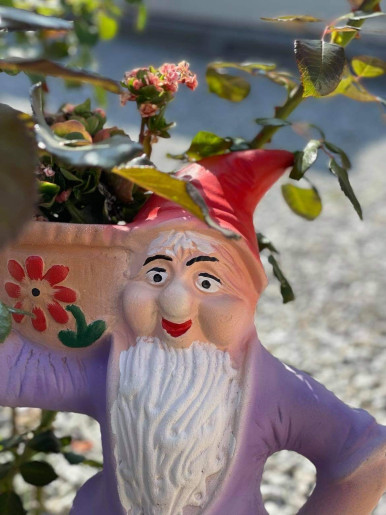 Patrik Deluxe Apartman Gyula - 4