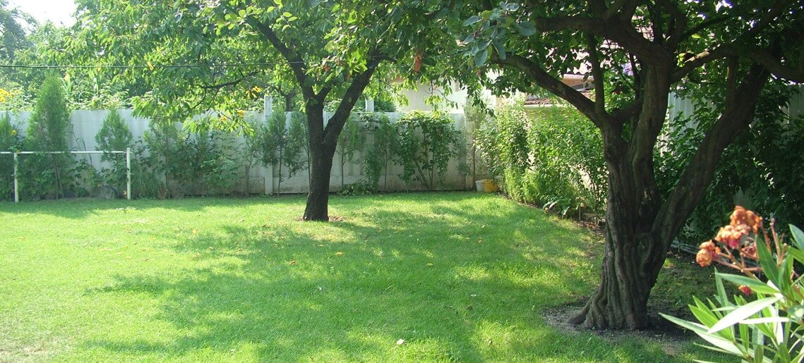 Bluebird Vendégház Gyula - 22