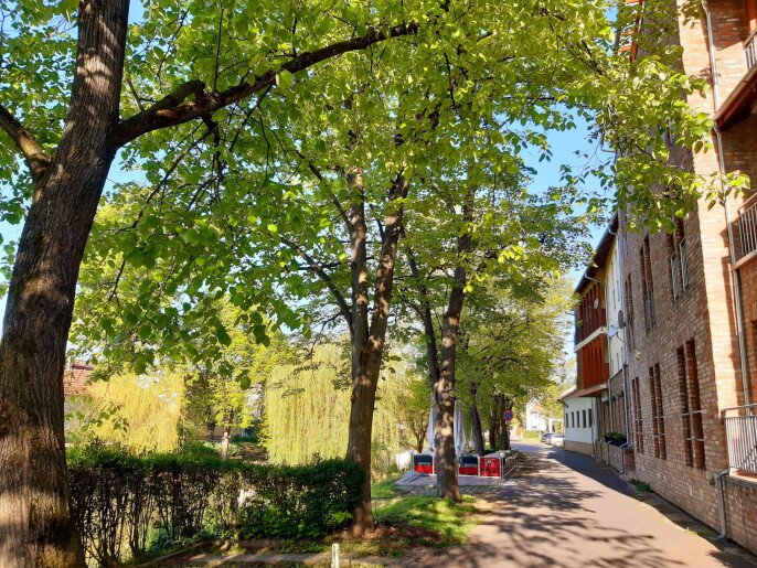 Belvárosi Tündér Apartman Gyula - 6