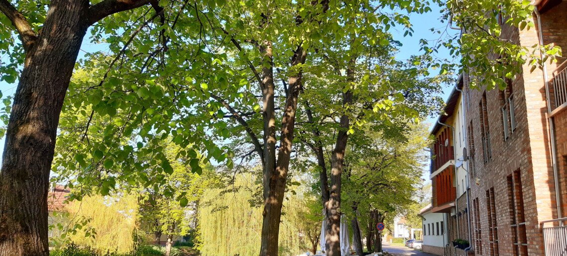 Belvárosi Tündér Apartman Gyula - 6