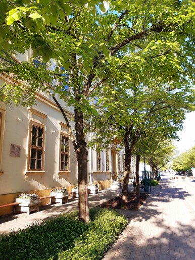 Belvárosi Tündér Apartman Gyula - 7