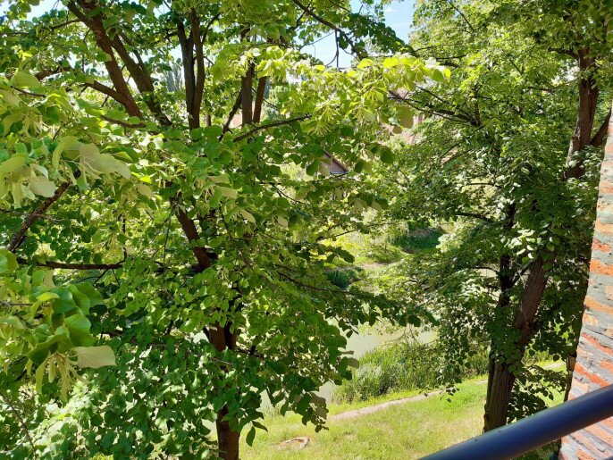 Belvárosi Tündér Apartman Gyula - 13