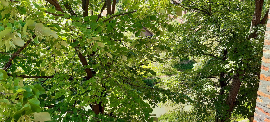 Belvárosi Tündér Apartman Gyula - 13