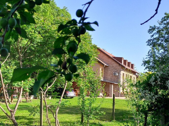 Alabárd Apartman Gyula - 24