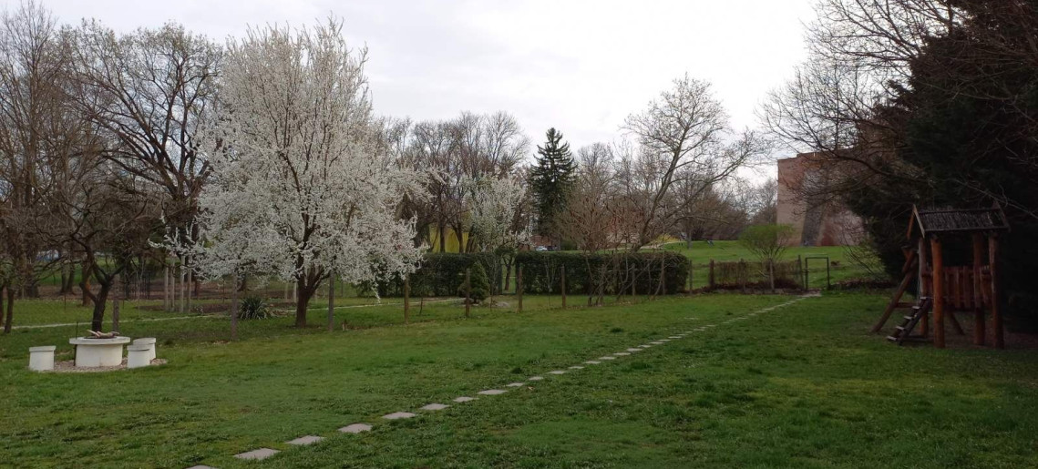 Kinga Apartman Gyula - 3