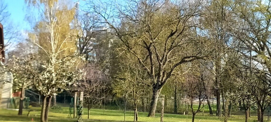 Kinga Apartman Gyula - 14