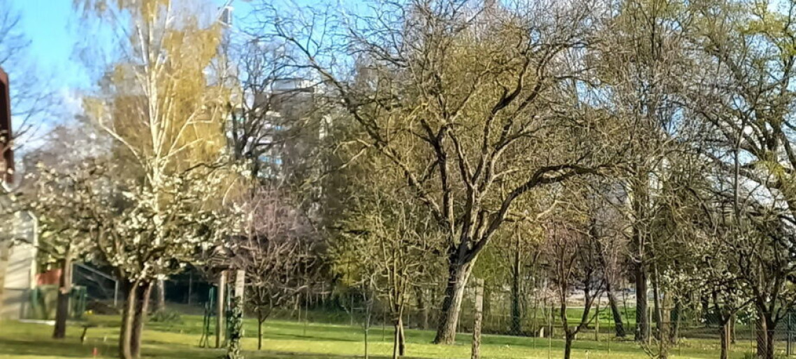 Kinga Apartman Gyula - 14