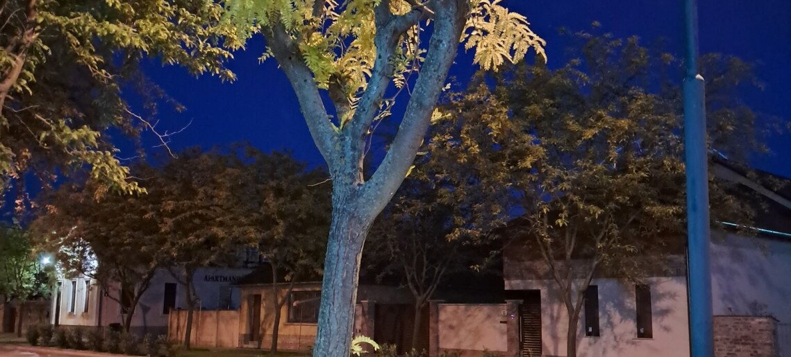 La Vita Prémium Panzió Gyula - 70