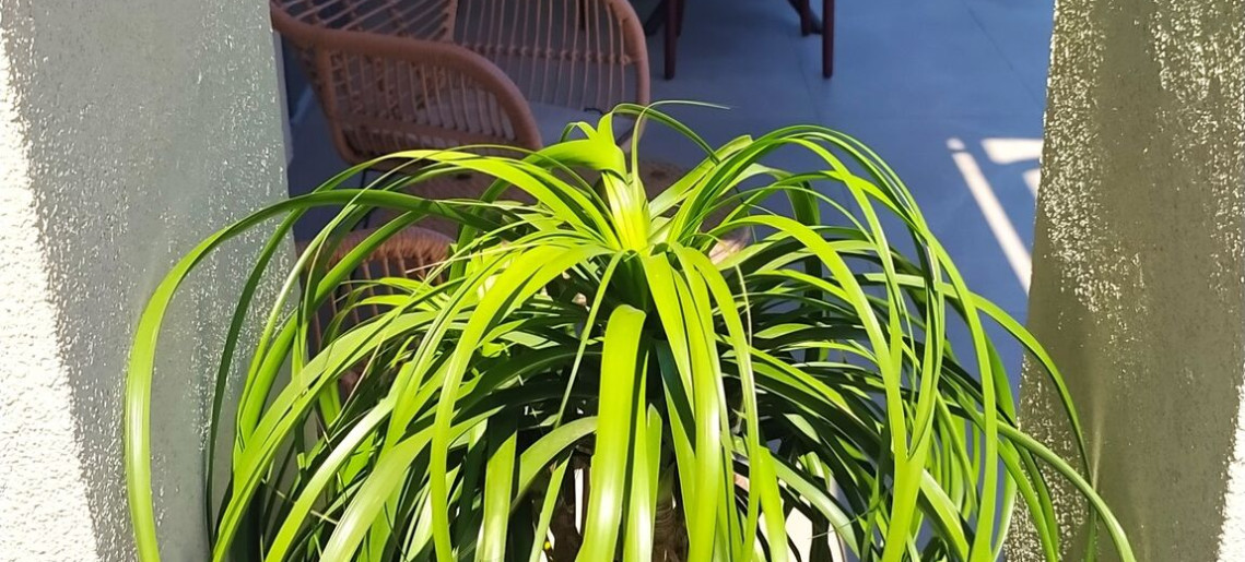 La Vita Prémium Panzió Gyula - 78