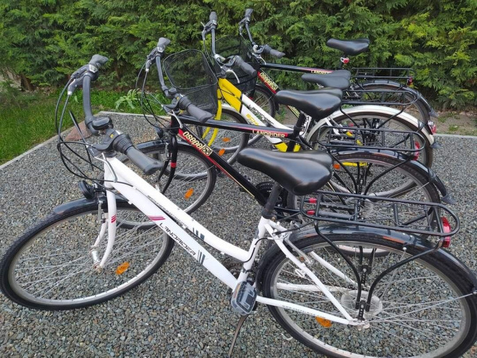 Drótszamár Vendégház**** Gyula - 10