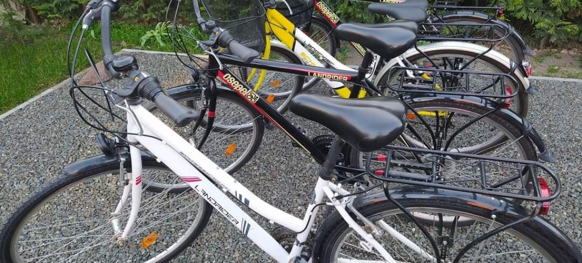 Drótszamár Vendégház**** Gyula - 10