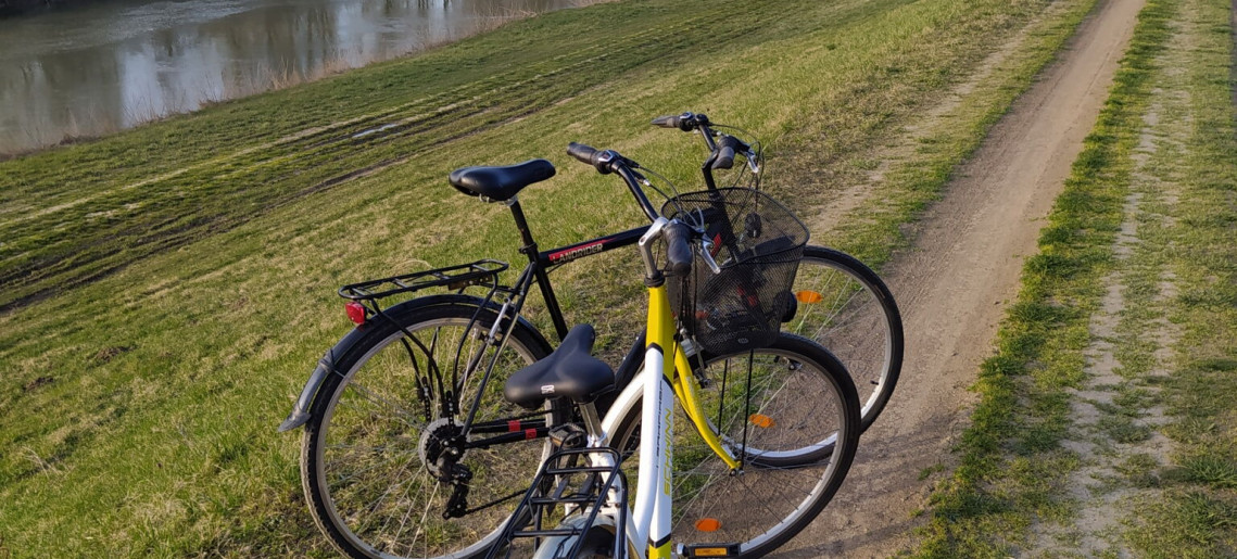 Drótszamár Vendégház**** Gyula - 11