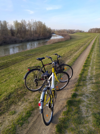 Drótszamár Vendégház**** Gyula - 11