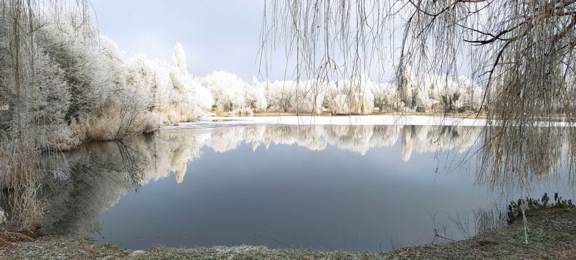 Drótszamár Vendégház**** Gyula - 17