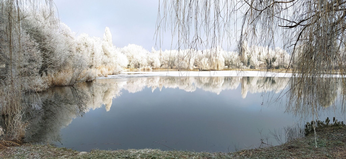 Drótszamár Vendégház**** Gyula - 17