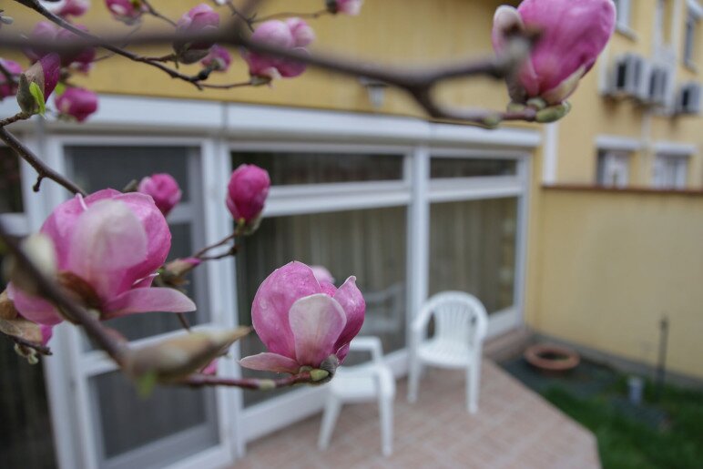 Ede Apartman*** Gyula - 12