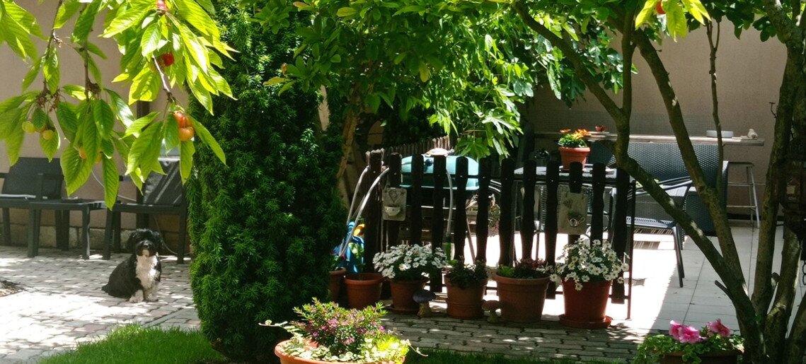 Mona Lisa Apartman Gyula - 12