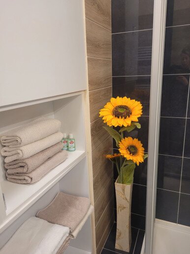 Melcsi Apartman Gyula - 3