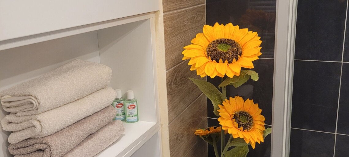 Melcsi Apartman Gyula - 3