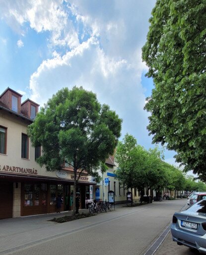 Melcsi Apartman Gyula - 7