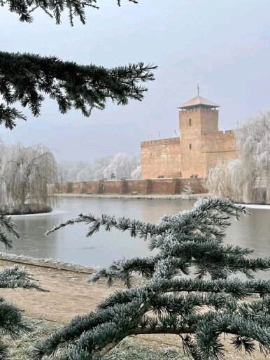 Melcsi Apartman Gyula - 26