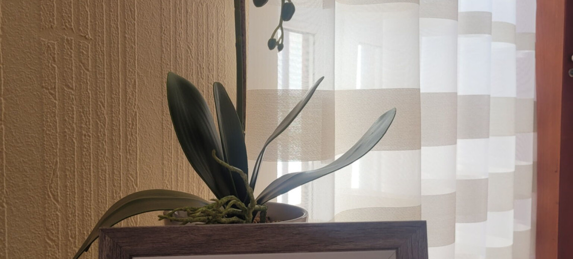 Melcsi Apartman Deluxe Gyula - 3