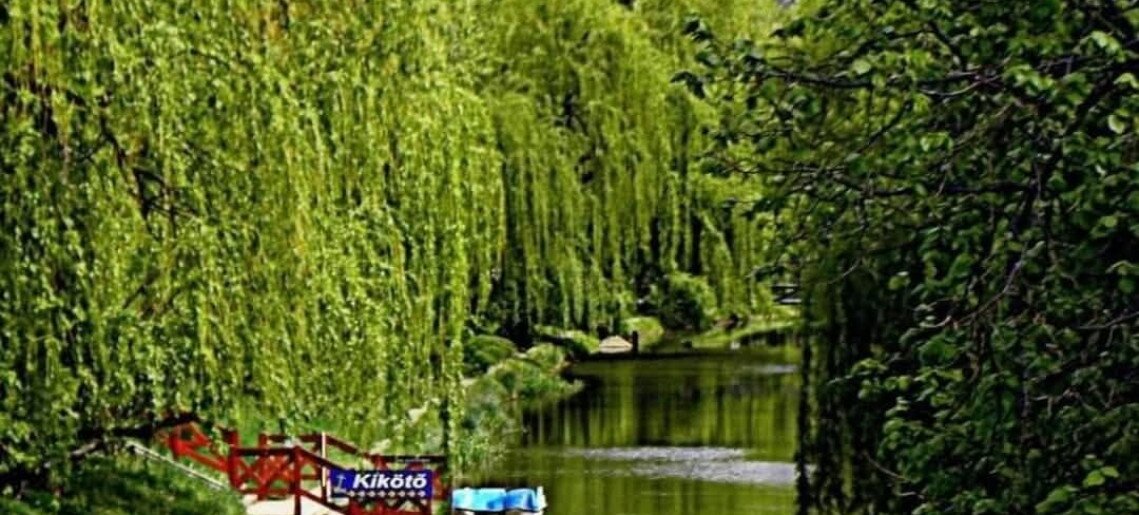 Melcsi Apartman Deluxe Gyula - 34