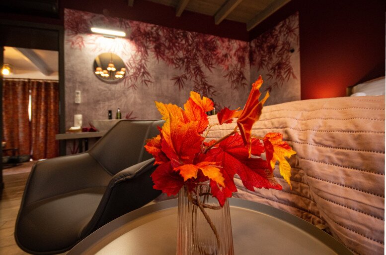 Boutique Villa Gyula - 9