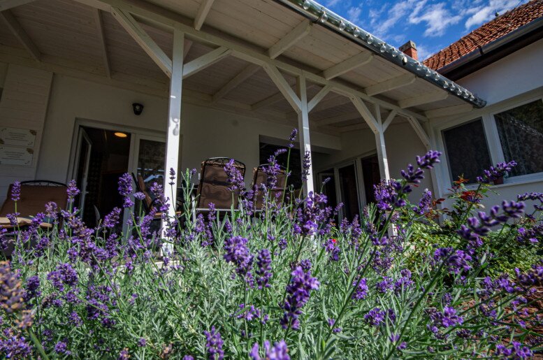 Boutique Villa Gyula - 18