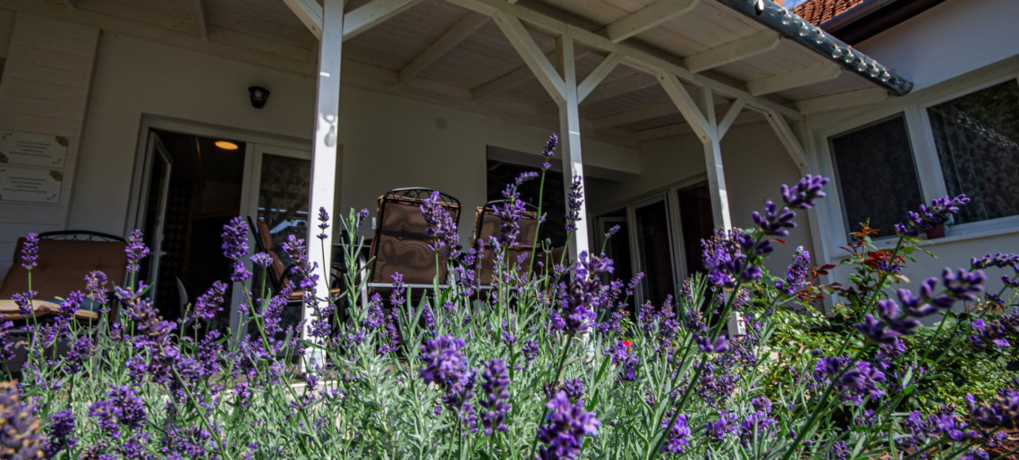 Boutique Villa Gyula - 18