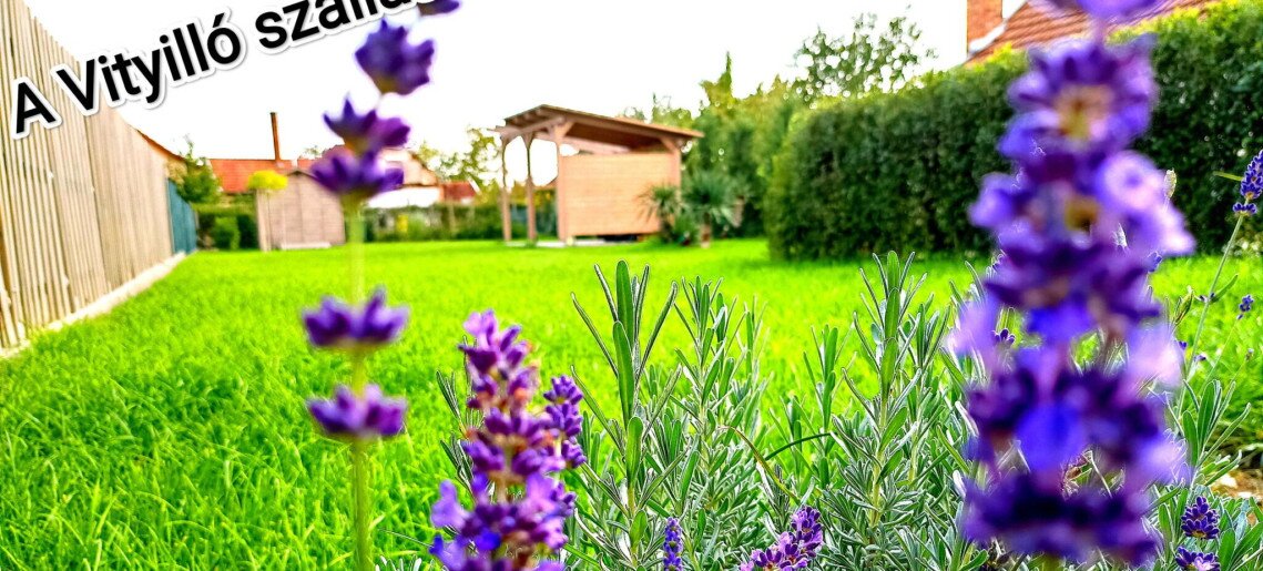 A Vityilló Apartmanok Gyula - 13