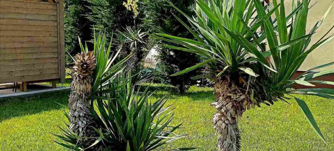 A Vityilló Apartmanok Gyula - 14