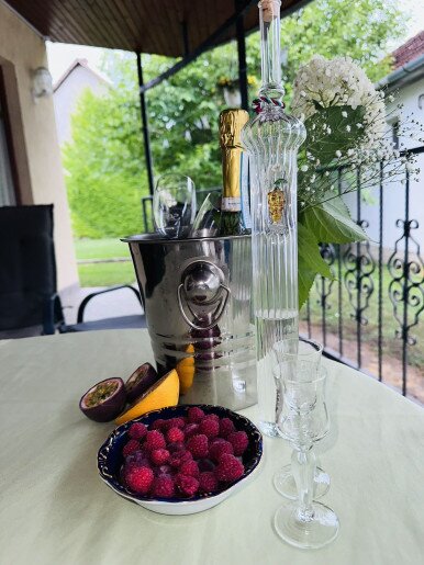 Cozy Garden Apartman Gyula - 16