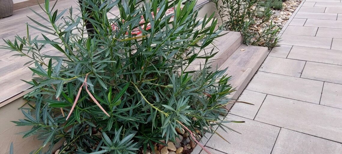 Vadaskert Apartman Gyula - 1