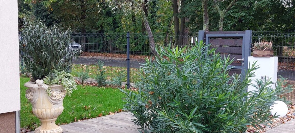 Vadaskert Apartman Gyula - 30