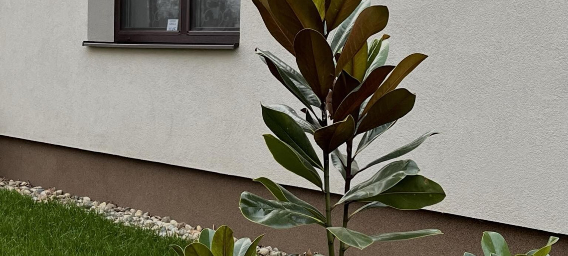 Vadaskert Apartman Gyula - 47